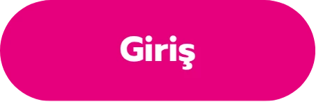 Giriş